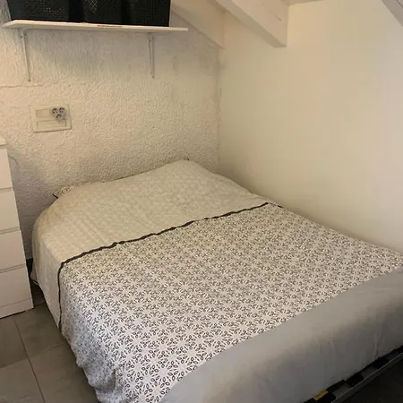 Les 2 Alpes Centre Station *