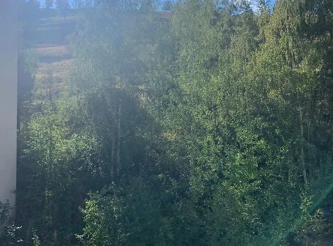 Les 2 Alpes Centre Station Apartment *